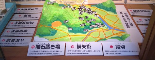 297-ipponmatsu.jpg